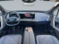 BMW iX xDr40 M Sport AHK SKY MultiSitze PA+ DAPro HK Alb - thumbnail 8