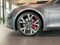 Alpine A110 GT Brembo+Voll-LED+Telemetrics+SHZ Grey - thumbnail 7