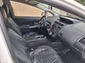 Toyota Prius+ Prius+ 1.8h Lounge ecvt E6 Bianco - thumbnail 8