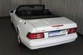 Mercedes-Benz SL 500 #95-2 Weiß - thumbnail 30