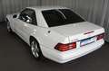 Mercedes-Benz SL 500 #95-2 Weiß - thumbnail 25
