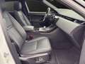 Land Rover Range Rover Evoque Plug-in-Hybrid P270e Dynamic Weiß - thumbnail 6