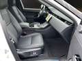 Land Rover Range Rover Evoque Plug-in-Hybrid P270e Dynamic Weiß - thumbnail 6