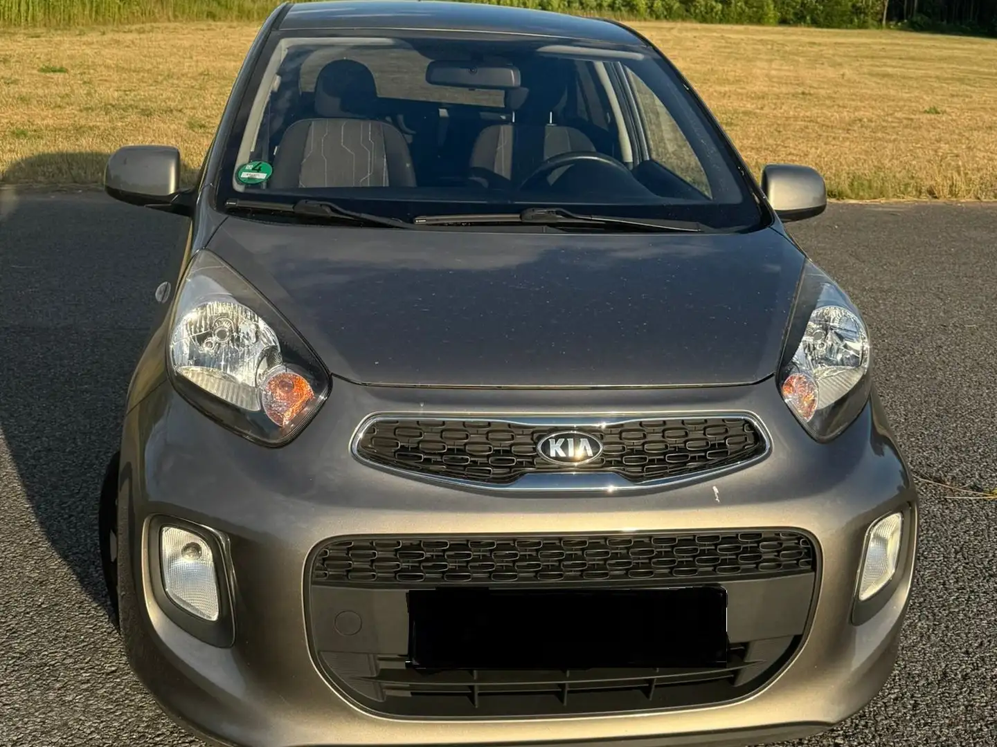 Kia Picanto UEFA Euro 2016 85PS Alu/Sitz+LnkrHz/Klima Gris - 1