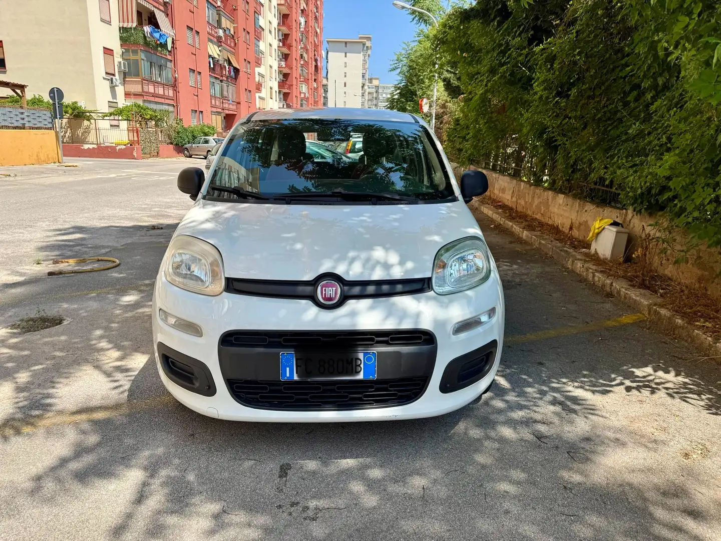 Fiat Panda Panda III 2016 1.2 Easy 69cv E6 Bianco - 2