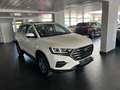 SWM G01 Premium Auto. Pano Leder Navi Kamera Weiß - thumbnail 3