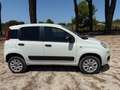 Fiat Panda 0.9 TwinAir  4x4 Pop Van 2 posti !!! Weiß - thumbnail 4