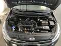 Kia Rio 1.2 Dream Team CarPlay  Klimaautom SHZ LenkradHZG Schwarz - thumbnail 14