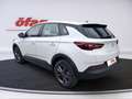 Opel Grandland X 1.2 Turbo Business Edition LED+SHZ Weiß - thumbnail 4