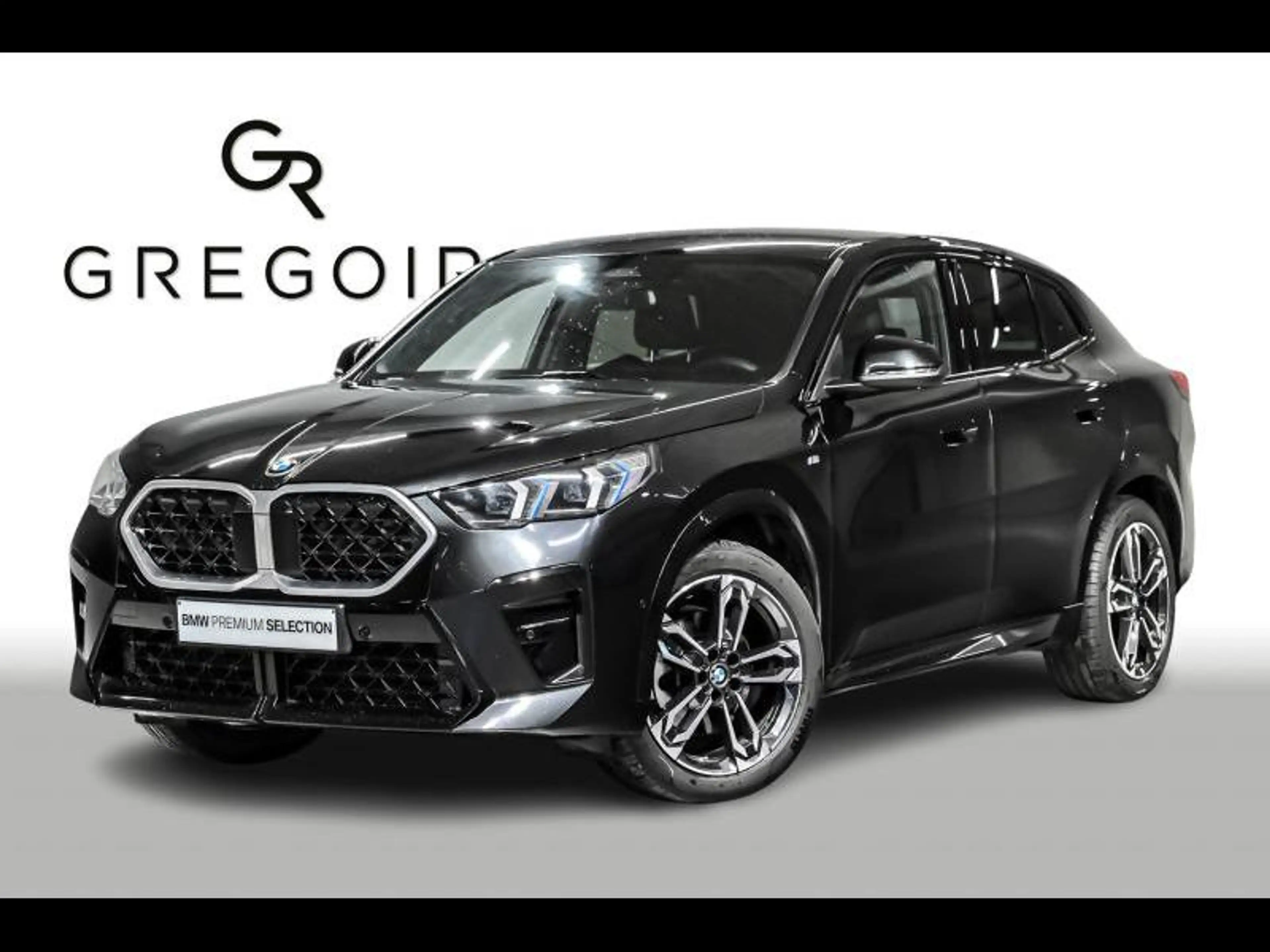 BMW X2 sDrive20i - MPACK|DASS+|CAM|PANO|H&K|COMFORT