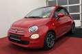 Fiat 500 Club*10.000 KM* Rot - thumbnail 2