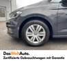 Volkswagen Touran TDI SCR 5-Sitzer Grau - thumbnail 14