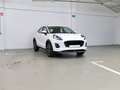 Ford Puma 1.0 ECOBOOST 92KW MHEV TITANIUM 125 5P Blanc - thumbnail 2