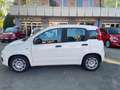 Fiat Panda PANDA "LA PANDINA" 1.0 HYBRID 70cv - KMO 2025 Bianco - thumbnail 3
