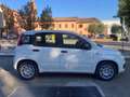 Fiat Panda PANDA "LA PANDINA" 1.0 HYBRID 70cv - KMO 2025 Bianco - thumbnail 5
