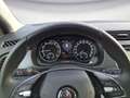 Skoda Fabia Combi 1.0 TSI Drive 125 Best Of Grau - thumbnail 9