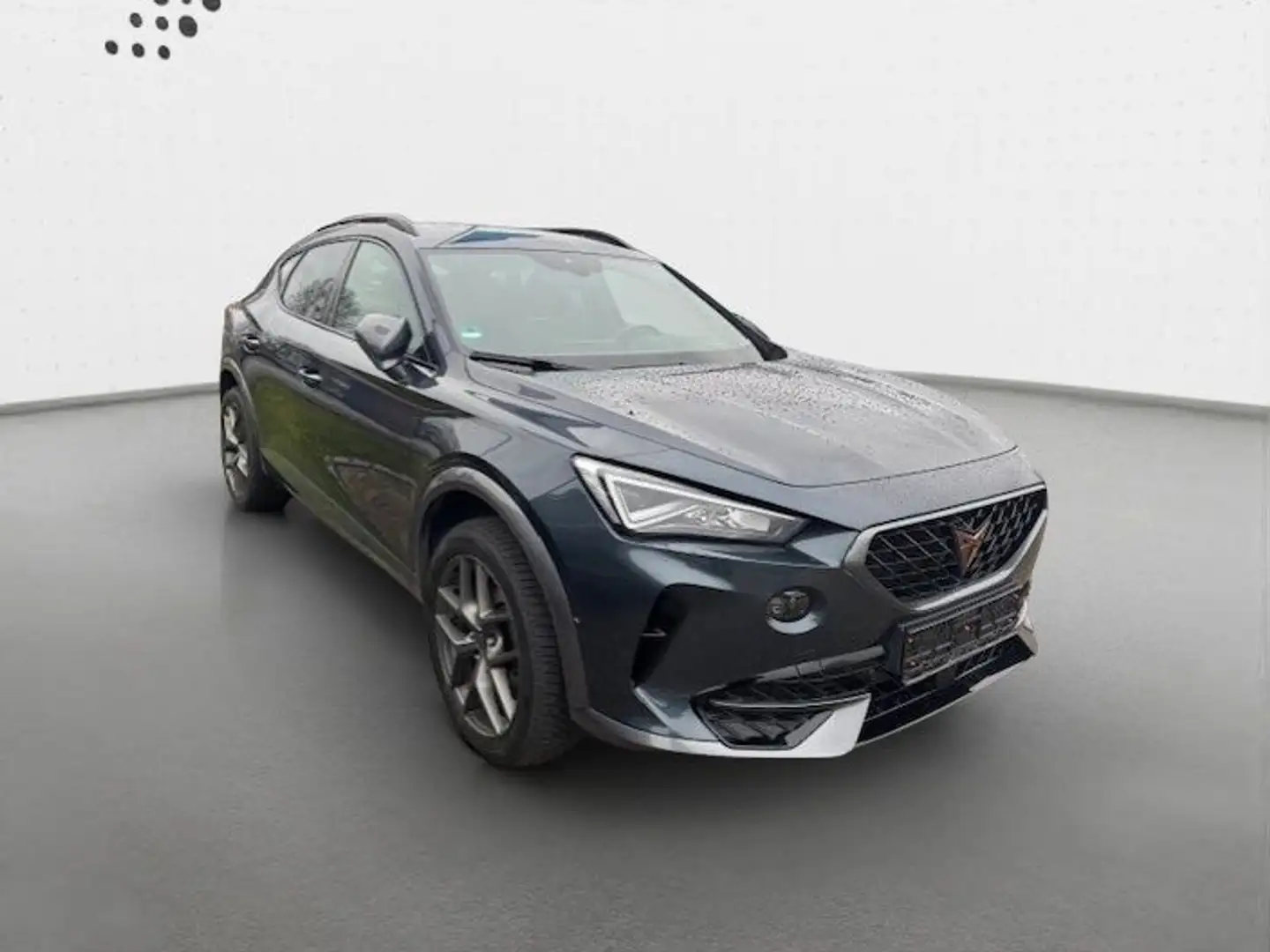 CUPRA Formentor 1.5 TSI MirrorLink*LED*Navigation*RFK Gris - 2