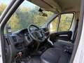 Peugeot Boxer 435 2.2 BlueHDi 165 S&S PLM FRIGO Bianco - thumbnail 4