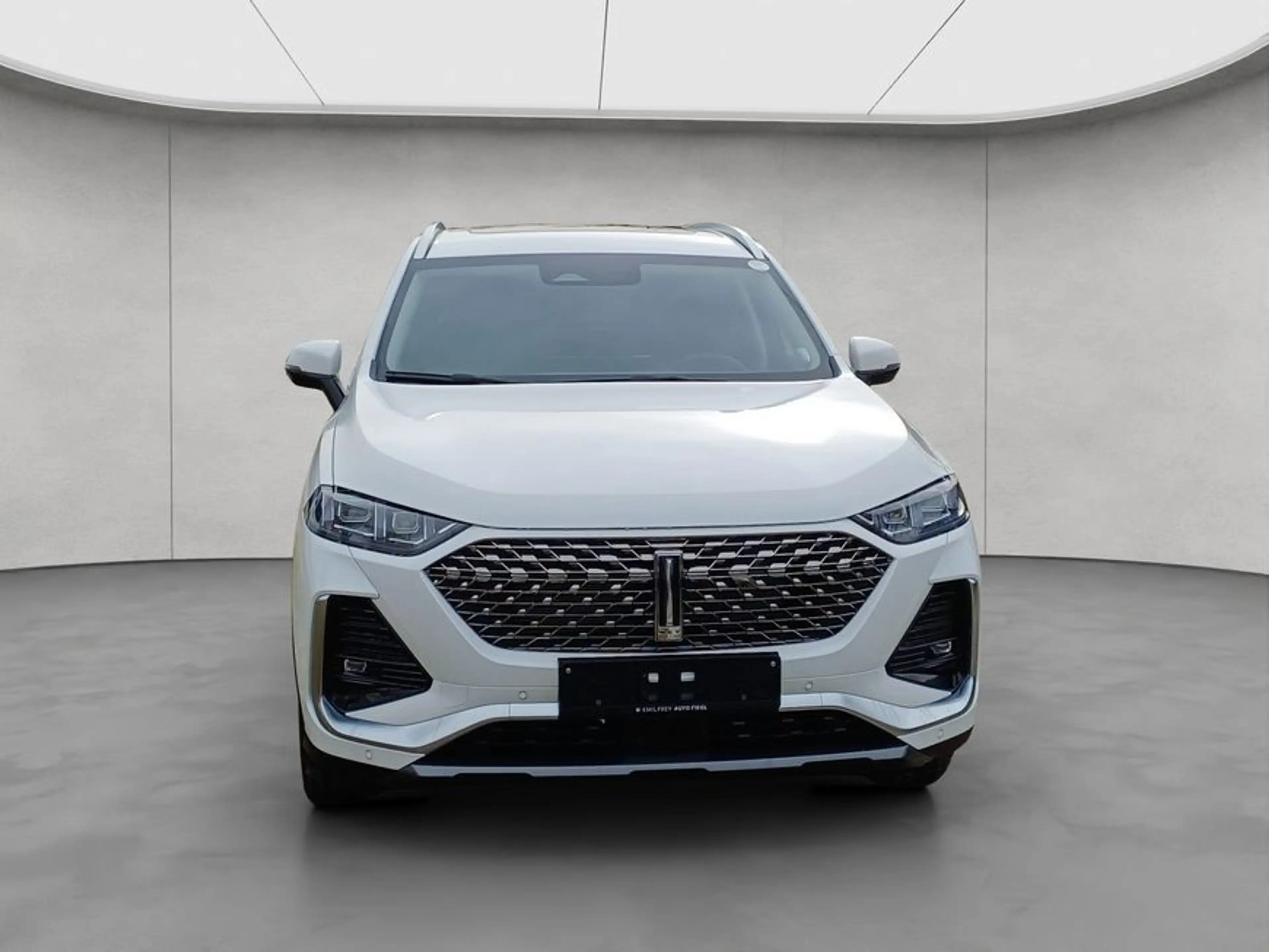 GWM WEY 03 WEY 03 AWD Luxury 150 kW, 5-türig — photo 10