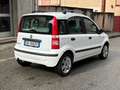Fiat Panda Panda 1.2 Emotion eco Bianco - thumbnail 7