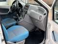 Fiat Panda Panda 1.2 Emotion eco Bianco - thumbnail 13