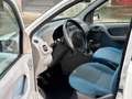 Fiat Panda Panda 1.2 Emotion eco Bianco - thumbnail 9