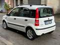 Fiat Panda Panda 1.2 Emotion eco Bianco - thumbnail 5