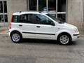 Fiat Panda Panda 1.2 Emotion eco Bianco - thumbnail 3