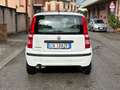 Fiat Panda Panda 1.2 Emotion eco Bianco - thumbnail 6