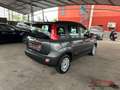 Fiat New Panda 1.2 Easy 69cv Gris - thumbnail 6