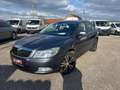 Skoda Octavia Octavia 1,6 Active TDI CR DPF Active Grau - thumbnail 1