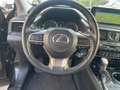 Lexus RX 350 RX 450 Hybrid Executive - thumbnail 13