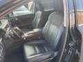 Lexus RX 350 RX 450 Hybrid Executive - thumbnail 14