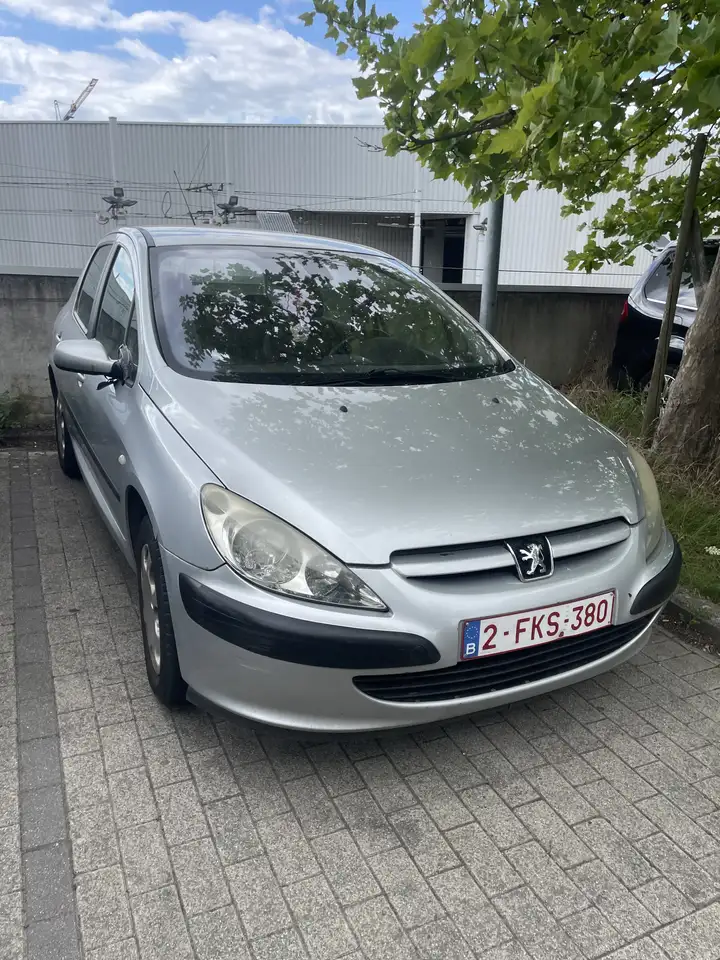 Peugeot 307