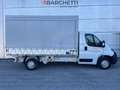 Opel Movano C (U9) 35 2.2 BLUEHDI 140 PLM CASSONATO TELONATO Blanc - thumbnail 4