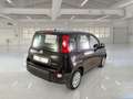 Fiat Panda 1.0 FireFly 70cv S&S Hybrid 5 PORTE - thumbnail 4