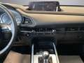 Mazda CX-30 CX-30 2.5 m-hybrid Homura 2wd 140cv 6mt Bianco - thumbnail 14