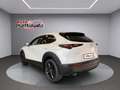 Mazda CX-30 CX-30 2.5 m-hybrid Homura 2wd 140cv 6mt Bianco - thumbnail 3