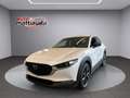 Mazda CX-30 CX-30 2.5 m-hybrid Homura 2wd 140cv 6mt Bianco - thumbnail 1
