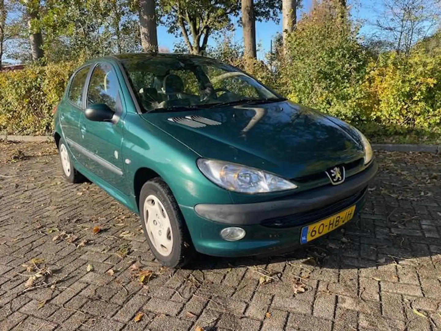 Peugeot 206 1.6-16V Roland Garros I panorama I airco I climate Groen - 2