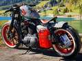 Harley-Davidson Iron 1200 Sportster Custom "Der rote Baron" Šedá - thumbnail 1