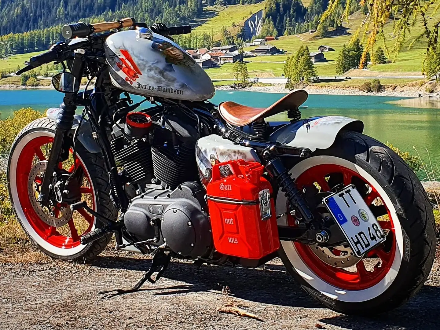 Harley-Davidson Iron 1200 Sportster Custom "Der rote Baron" Сірий - 1