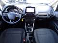 Ford EcoSport 1.0 EcoBoost 100 CV Plus Grau - thumbnail 12