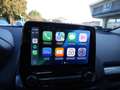 Ford EcoSport 1.0 EcoBoost 100 CV Plus Grau - thumbnail 17