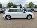 Volkswagen Golf Life TSi ergoActive Fahrersitz / Schiebedach Weiß - thumbnail 8