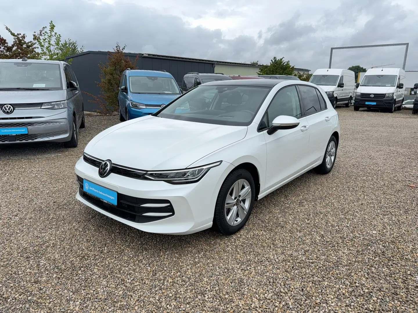 Volkswagen Golf Life TSi ergoActive Fahrersitz / Schiebedach Weiß - 2