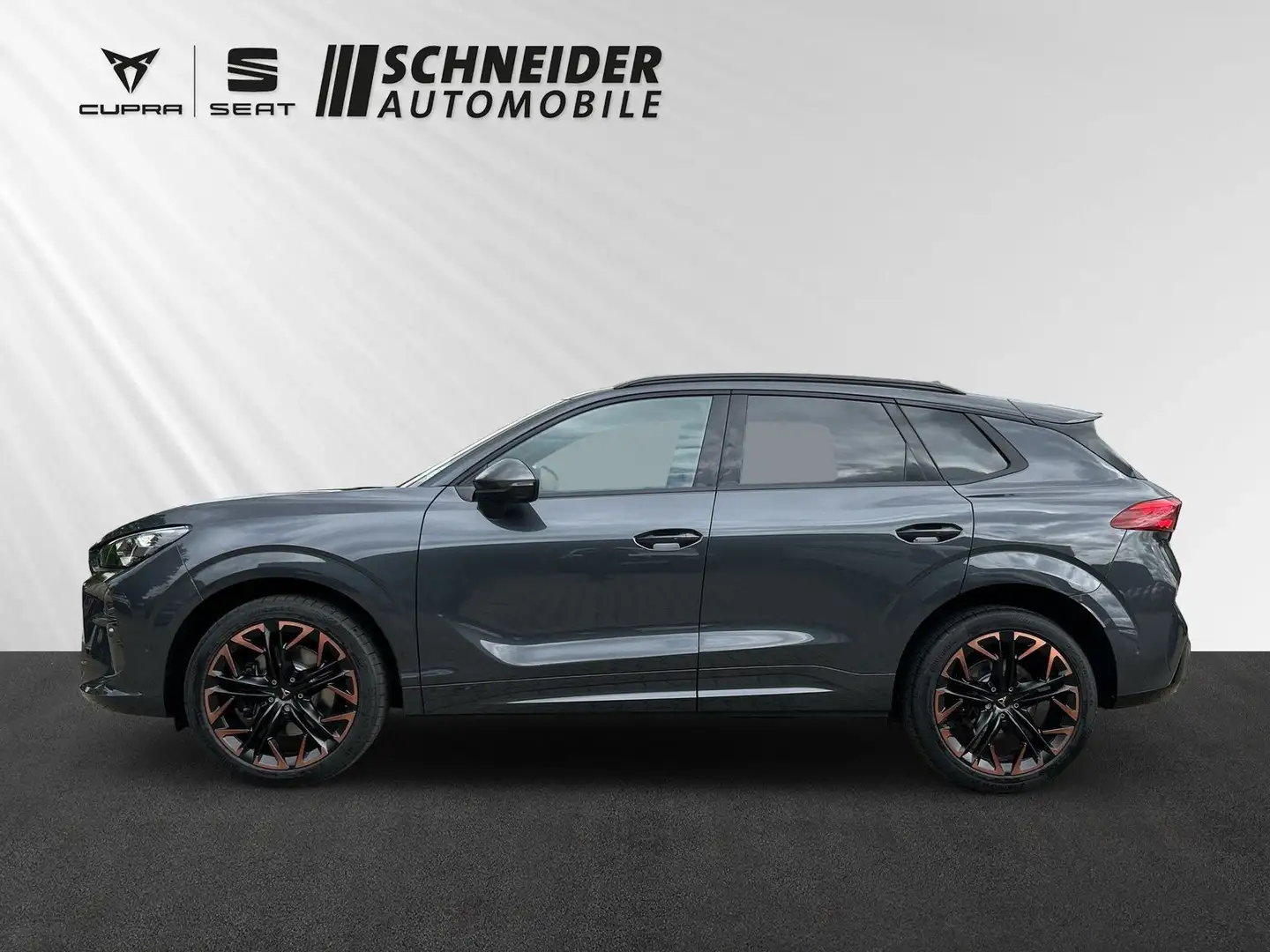 CUPRA Terramar 2.0 TSI VZ 4Drive Matrix HD AHK Pano Gris - 2