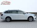 Skoda Octavia Style**1.BESITZ**SHZ**LHZ**AMBIENTE** Weiß - thumbnail 3