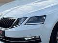Skoda Octavia Style**1.BESITZ**SHZ**LHZ**AMBIENTE** Weiß - thumbnail 7