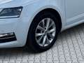 Skoda Octavia Style**1.BESITZ**SHZ**LHZ**AMBIENTE** Weiß - thumbnail 8